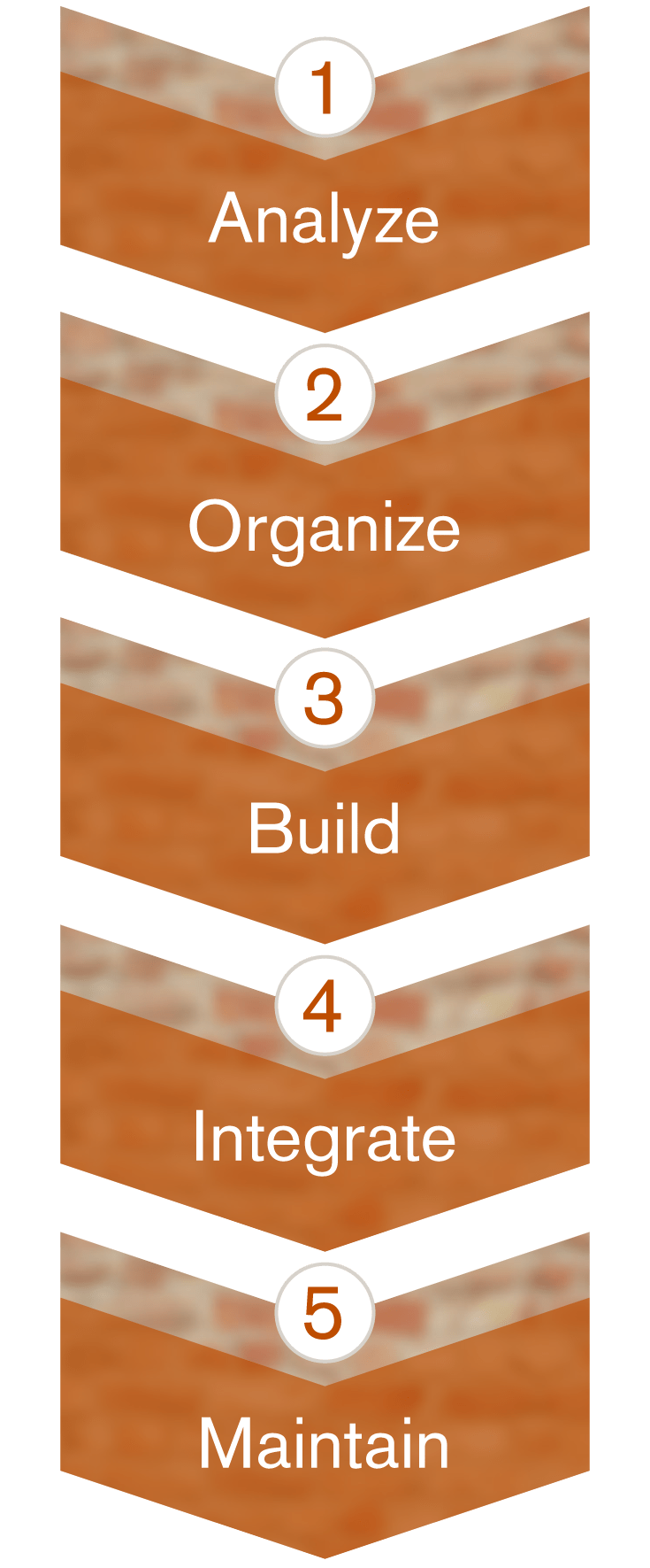 Database development: The key to understanding your customer